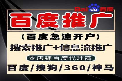 成功案例揭秘：sem代运营公司的策略与技巧